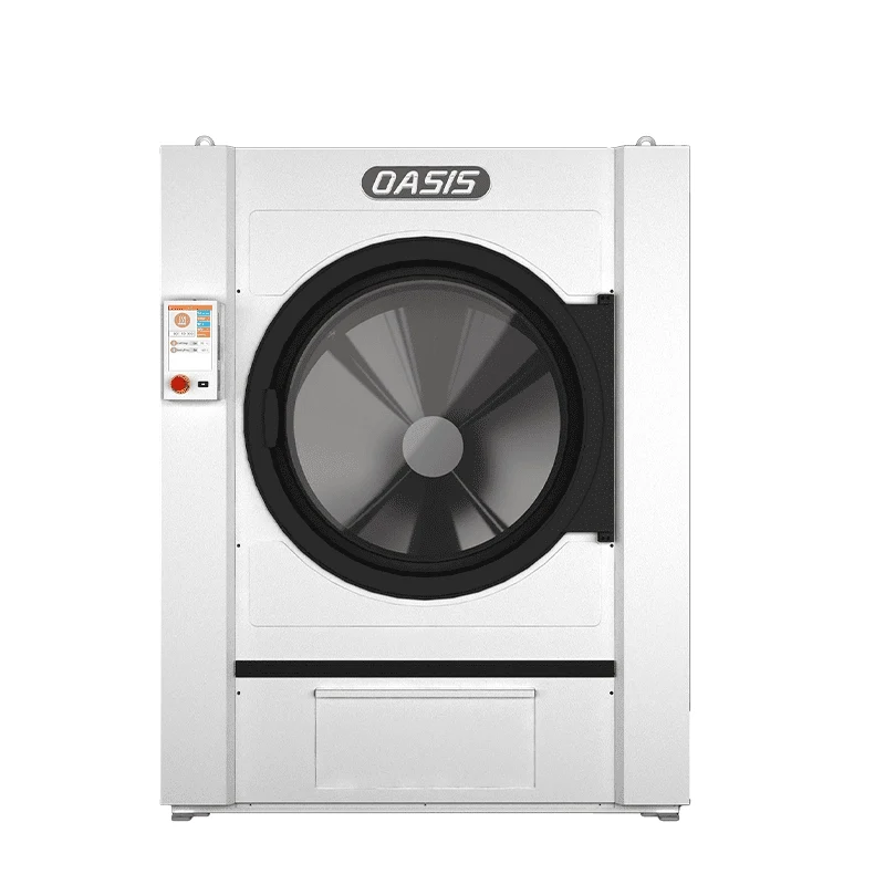 Laveuse professionnelle, vue de face